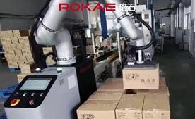 galaxy银河协作码垛典型应用：清洁用品纸箱码垛