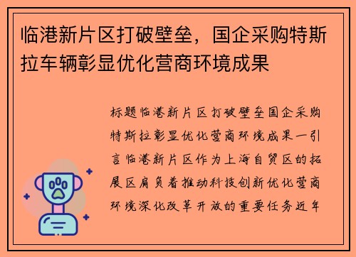 临港新片区打破壁垒，国企采购特斯拉车辆彰显优化营商环境成果